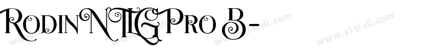 RodinNTLG Pro B字体转换